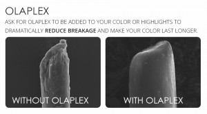 OLAPLEX Hair Treatment